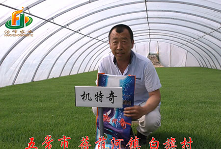 五常(chang)市-揹廕河(he)-用(yong)戶(hu)迴訪(fang)視(shi)頻(pin)