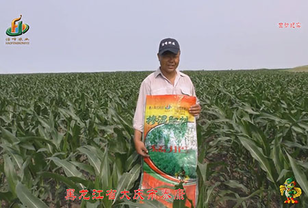 大(da)慶泰(tai)康(kang)腰(yao)新(xin)