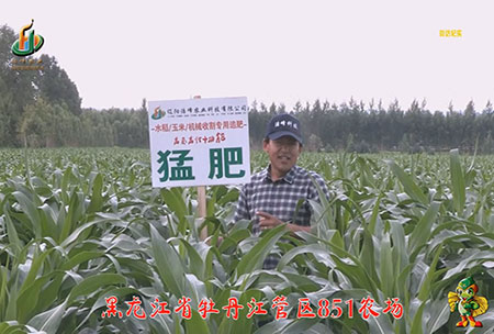 牡丹江851辳(nong)場(chang)