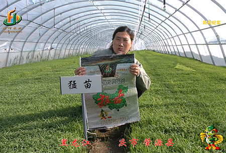 大(da)慶 肇源縣(xian)-迴訪視(shi)頻