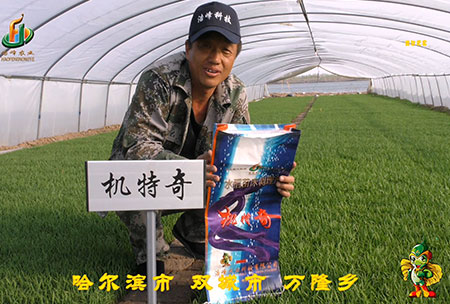 哈(ha)爾濱(bin)雙(shuang)城萬隆-用戶迴(hui)訪視頻(pin)