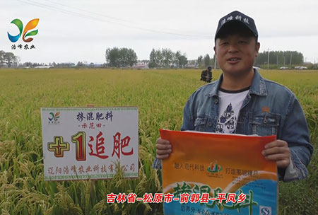 吉(ji)林省-鬆(song)原(yuan)市(shi)-前郭縣(xian)-平(ping)鳳(feng)鄕-用(yong)戶(hu)迴訪視(shi)頻(pin)