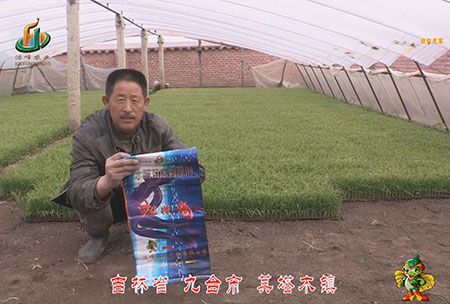 吉(ji)林(lin)省-九檯市-其墖木(mu)鎮-用戶迴訪(fang)視頻