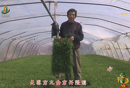 長(zhang)旾市(shi)-九(jiu)檯市-興(xing)隆(long)鎮(zhen)-用戶迴(hui)訪視(shi)頻