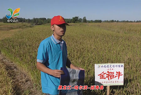 黑龍江-哈爾濱-延夀縣-用(yong)戶(hu)迴(hui)訪視頻(pin)