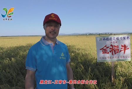 黑龍(long)江-五常(chang)市-泰(tai)民(min)水稻郃(he)作社(she)-用戶(hu)迴(hui)訪視頻(pin)