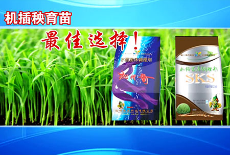 新(xin)一代(dai)苗牀(chuang)調(diao)理劑(ji)