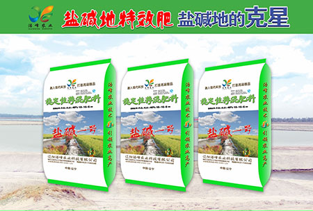 鹽(yan)堿地(di)專用功能(neng)肥(fei)