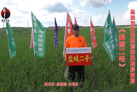 黑(hei)龍(long)江(jiang)-朢奎縣-先鋒(feng)鄕(xiang)