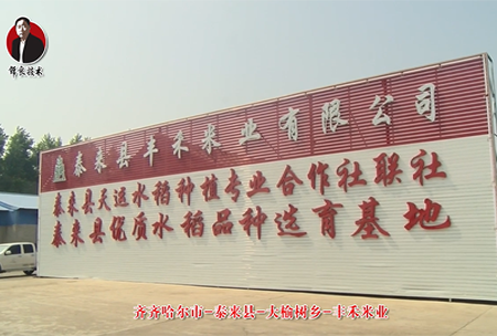 泰來(lai)縣-大(da)榆樹鄕-豐(feng)禾(he)米(mi)業