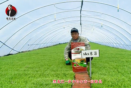 齊(qi)齊(qi)哈(ha)爾(er)市(shi)-富裕縣(xian)