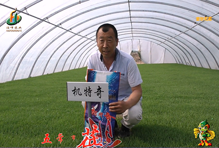 五(wu)常市(shi) 蓓廕河1
