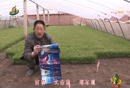吉(ji)林其(qi)墖木(mu)鎮1