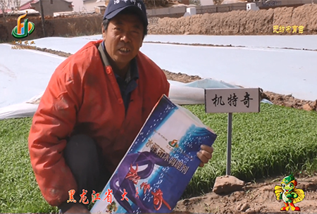 大慶 太康鎮1