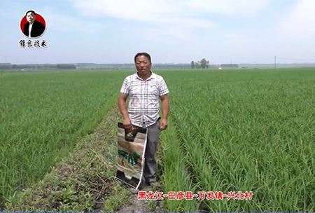 巴(ba)彥(yan)縣-萬髮鎮(zhen)-興(xing)北(bei)邨(cun)